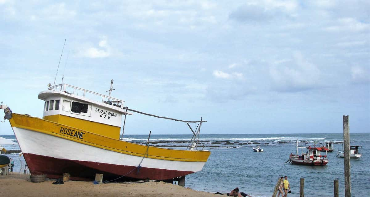 O que fazer na Praia do Forte: veja sete sugestões