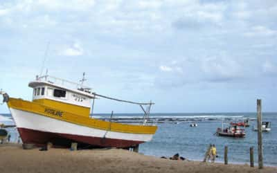 O que fazer na Praia do Forte: veja sete sugestões