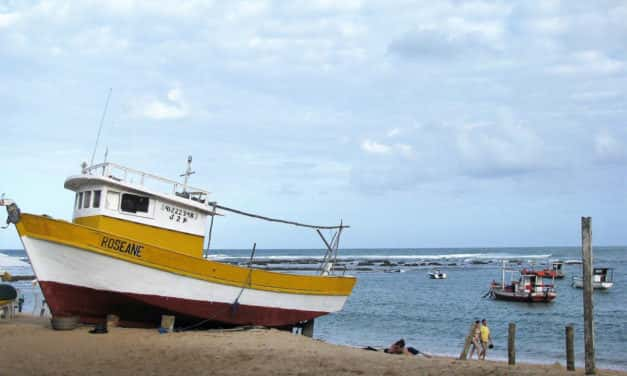 O que fazer na Praia do Forte: veja sete sugestões