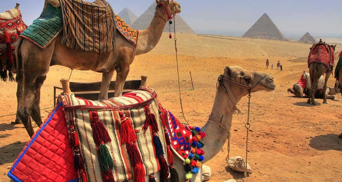 Viagem para o Egito: uma aventura nas pirâmides