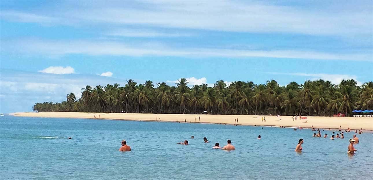 Mar com pessoas nadando, faixa de areia e muitos coqueirais: onde ir em Maceió