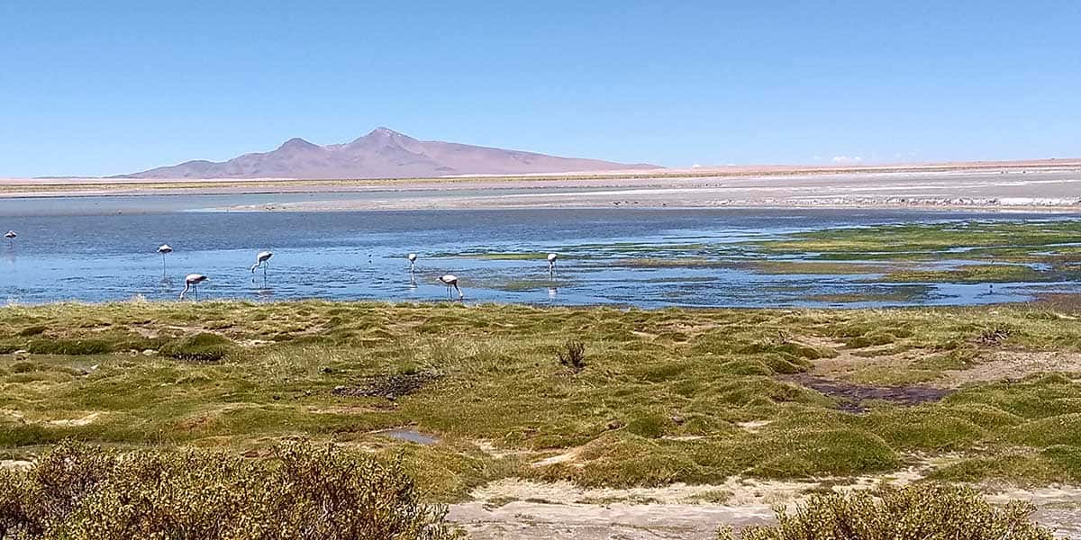 Deserto-de-Tara,-Vista-do-lago, Atacama, Chile