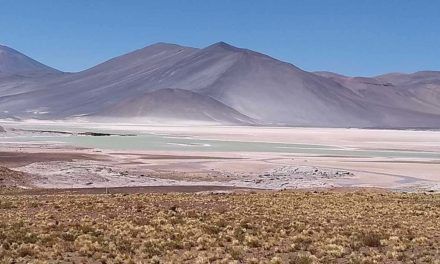 Lagunas Altiplânicas, Atacama: o que saber sobre o passeio