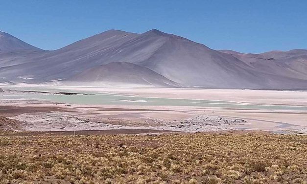 Lagunas Altiplânicas, Atacama: o que saber sobre o passeio