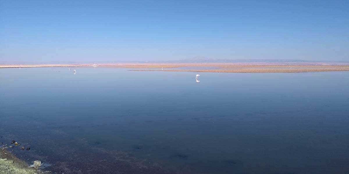 Lagunas Altiplânicas Miscanti, Atacama, Chile