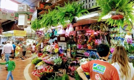 Mercado Central de Belo Horizonte: o que saber antes de visitá-lo
