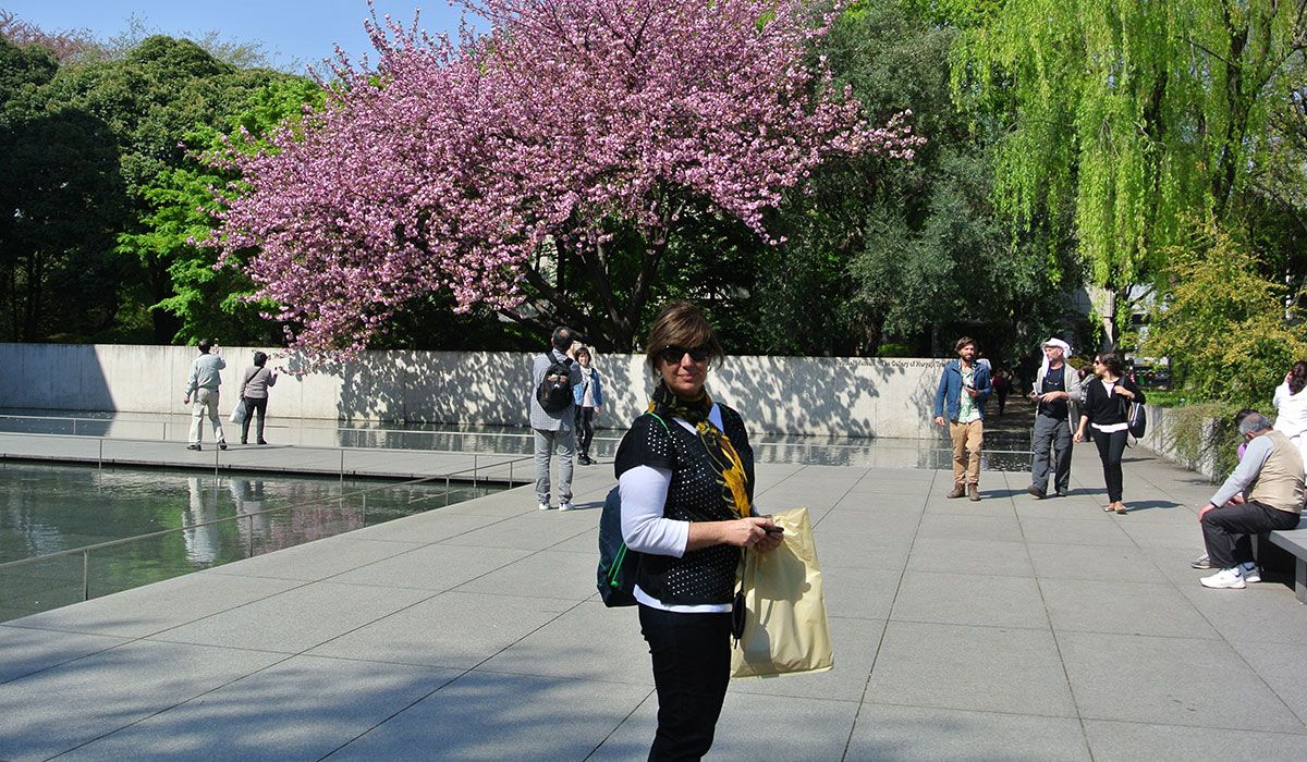 cerejeiras toquio - arquivo pessoal patricia lamounier