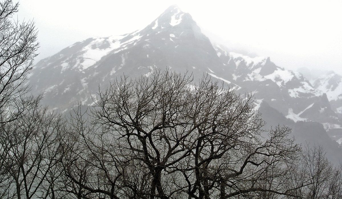 inicio do inverno nos alpes japoneses - foto patricia lamounier