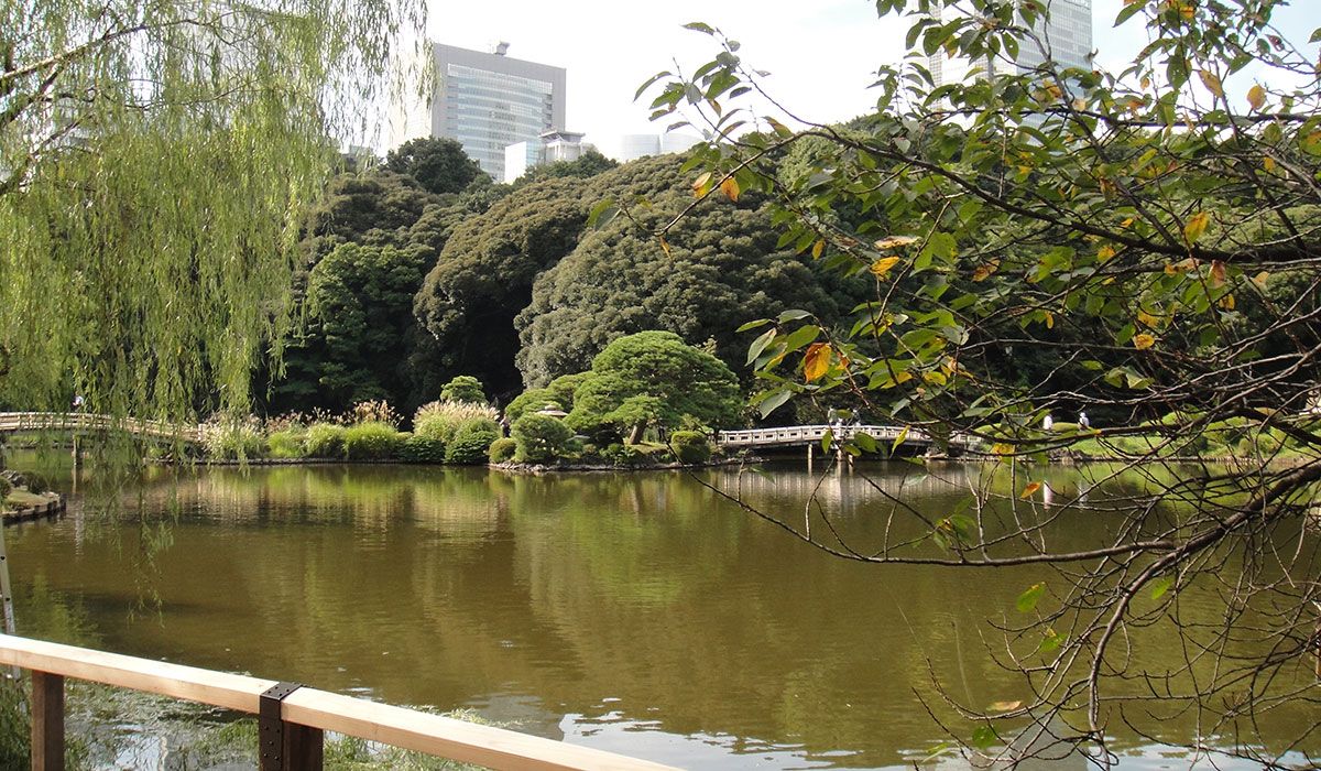 Parque em Tóquio- foto patricia lamounierr