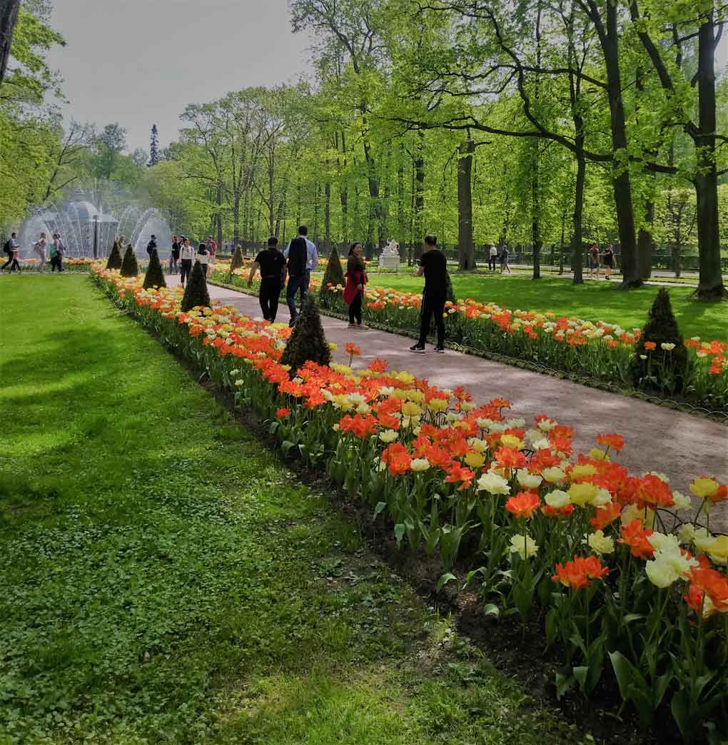Cruzeiro na Rússia: tulipas em jardim com pessoas andando